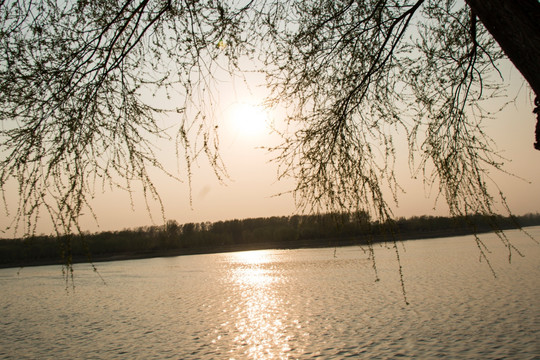 湖边落日