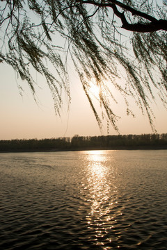 湖边落日