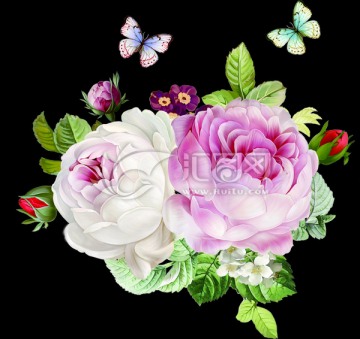 粉玫瑰花