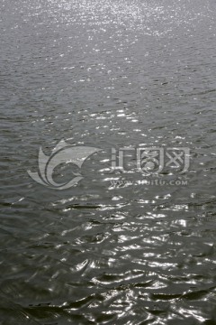 水波 水纹