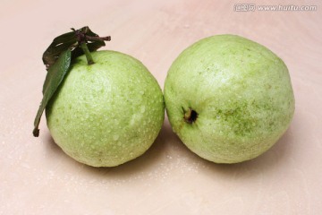 番石榴