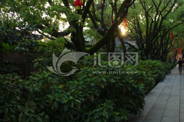 天香园 园林风光 南昌旅游