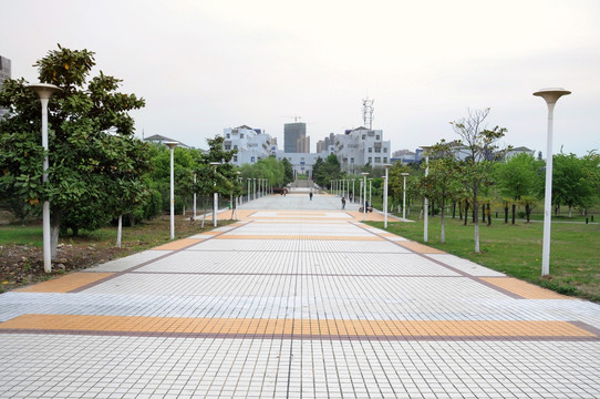 大学校园 校园道路