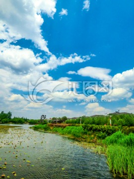 云南滇池湿地公园