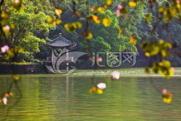 肇庆七星岩风光