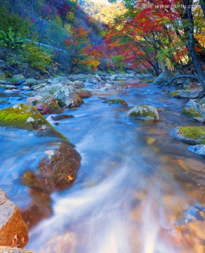 溪水河流 高清晰