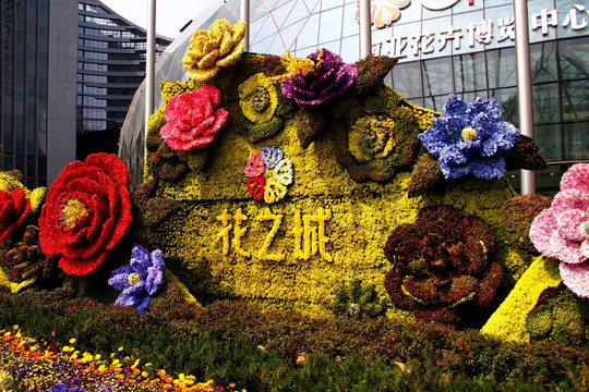 花之城 鲜花 园林 景观
