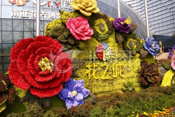 花朵 植物 小花 广场