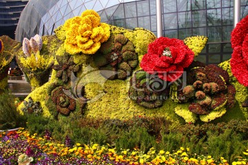小花 广场 花海 花地毯