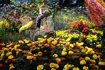 园林景观 城市花园 特色鲜花