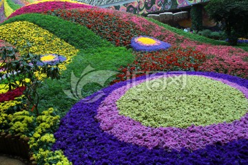 鲜花背景 花底纹 花卉