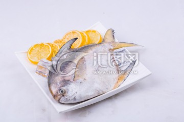 太平洋白鲳