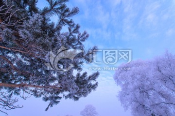 对淞