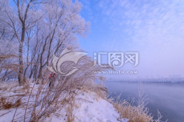 雾淞江畔