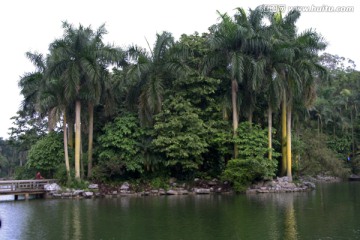 湖畔岸边