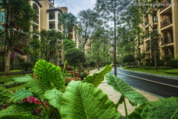 高端别墅园林实景