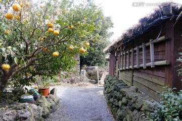 民旅村