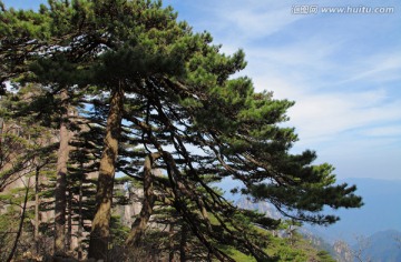 黄山 始信峰