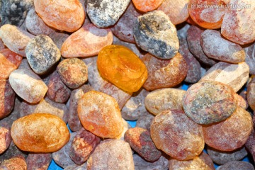 琥珀 化石 石子 玉石 鹅卵石