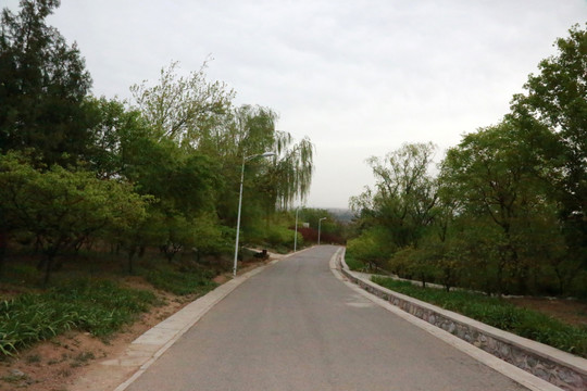 山路