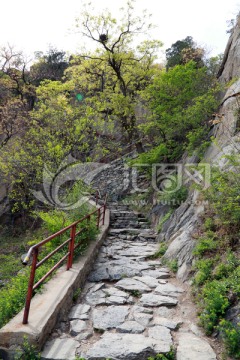 山路