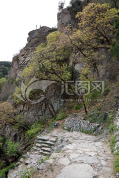 山路