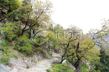 山路