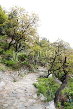 山路
