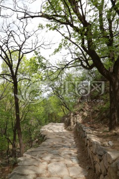 山路