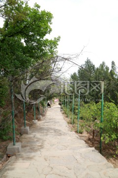 山路