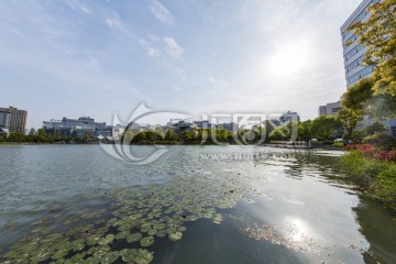 张江 上海 人工湖