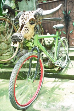 巴厘岛 自行车