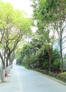 城市街道