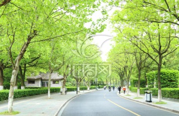 城市马路