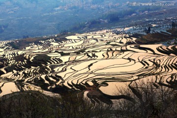 元阳梯田