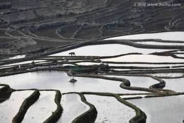 元阳梯田