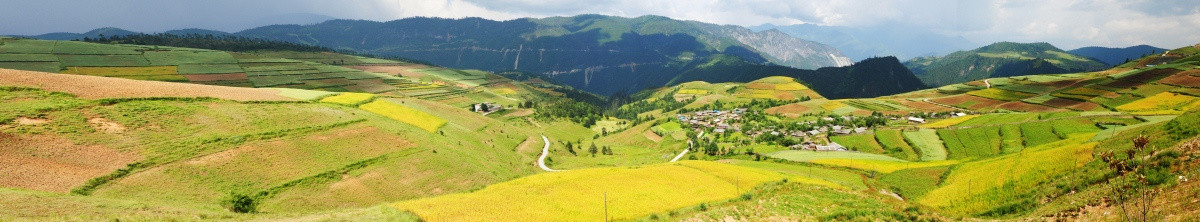 梯田