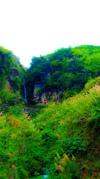 山泉  山沟