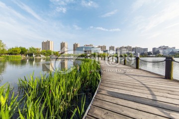 上海张江高科软件园人工湖