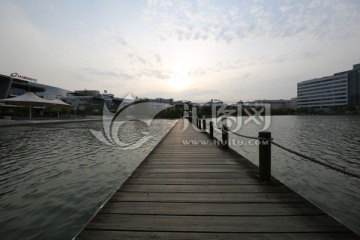 张江 软件园 人工湖
