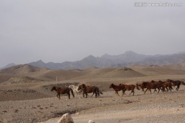 贺兰山