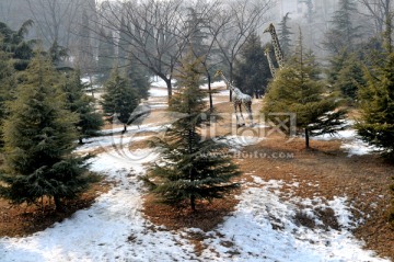 雪后的公园
