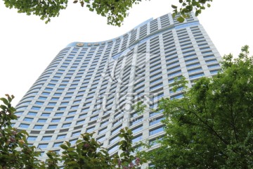 城市高楼