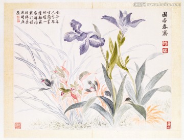 恽寿平山水花鸟图册之兰花蝴蝶花