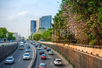 深圳南海大道 车流