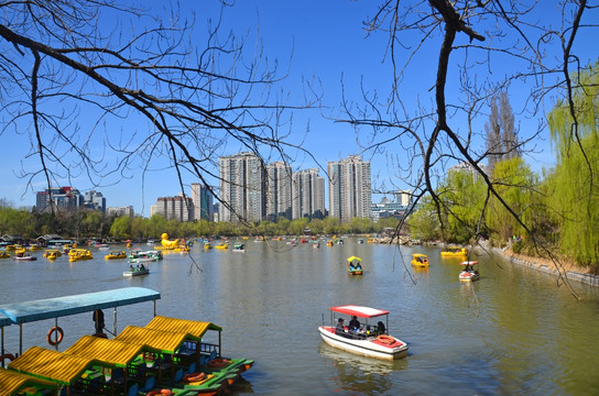 湖面美景