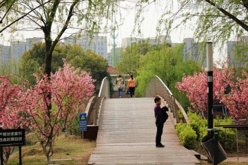 南京龙池湖风光