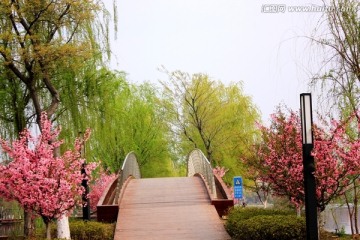 南京龙池湖风光