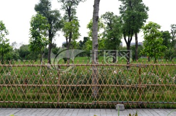 竹篱笆