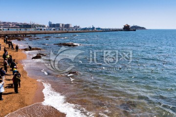 青岛湾风光